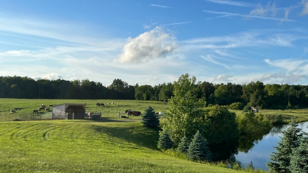 Springer Lake Farms Landscape